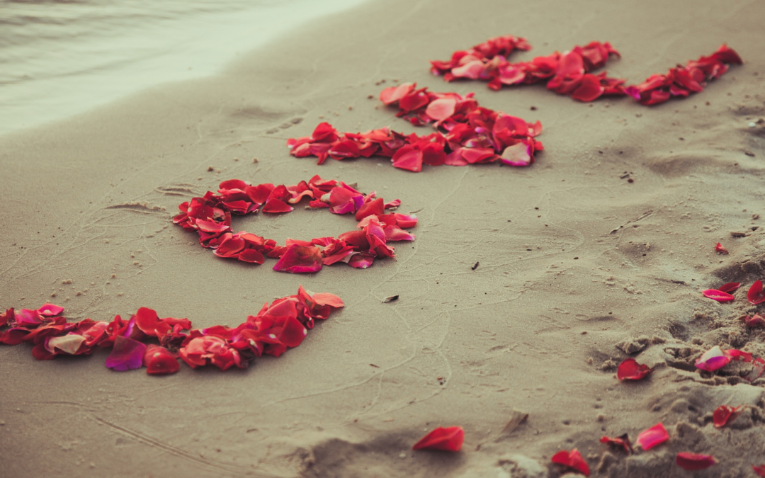 Everlasting Love - Love petals at a beach wedding