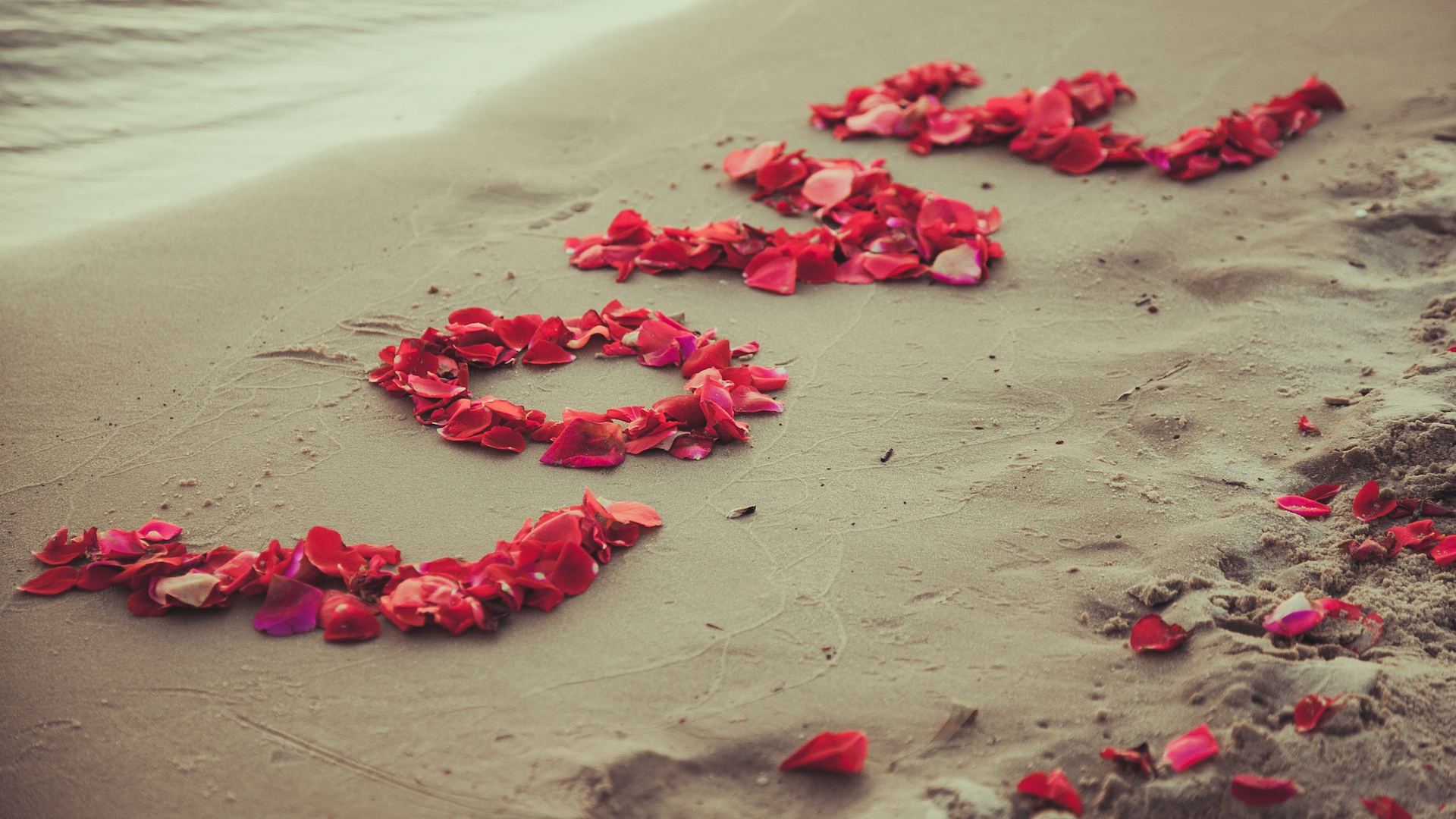 Everlasting Love - Love petals at a beach wedding