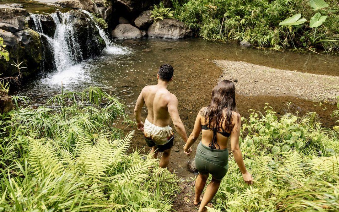 Mālama Hawaii Program: Giving Back on a Trip to Paradise