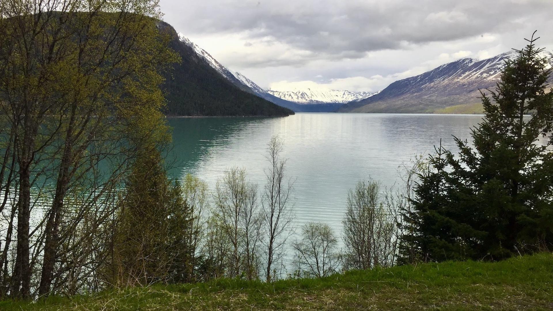 Near Seward, breathtaking land shaped by glaciers, nestled between mountains and the ocean.