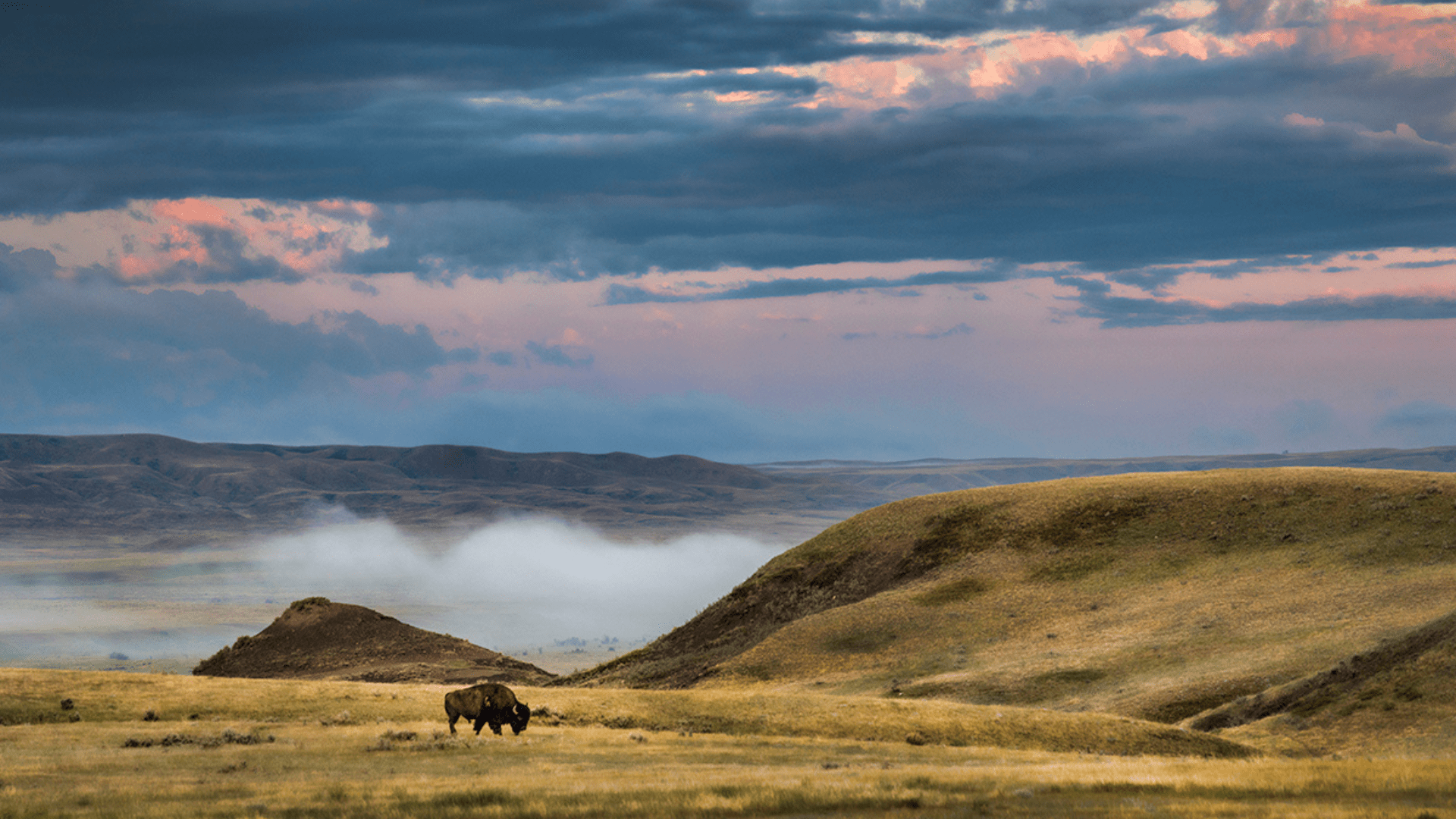 Grasslands National Park - Discover Saskatchewan