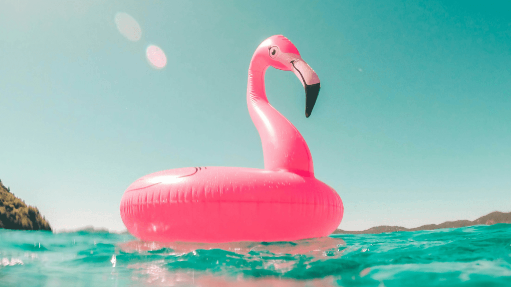 Sunquest Exclusive Offer - Photo: Pink Flamingo Swim Ring