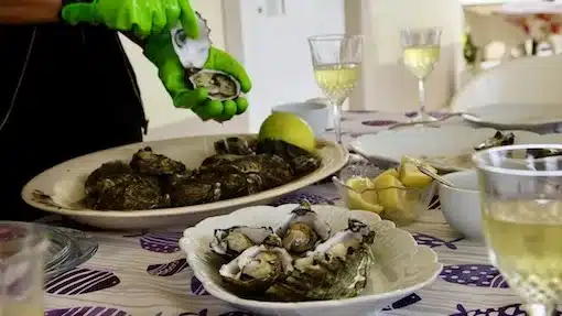 Travel to the Algarve - Fresh Seafood - Fresh oysters and wine