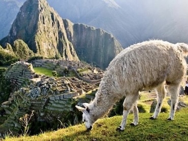 Peru Travel Guide - Central and South American Destinations