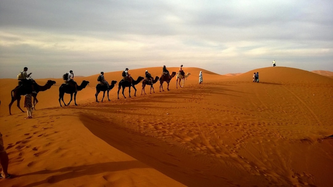 Guided Vacations - Desert Safari - TATT