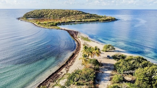 Vieques, Puerto Rico - Top 5 Destinations in Mexico and the Caribbean